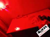 嘉禾宝宝，不过现在不在嘉禾了